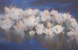 春天番红花，2018年， 作者 海伦·怀特